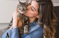 ۸ روشی که گربه‌ها علاقه خود را به شما نشان می‌دهند