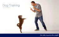آموزش سگ و مدیریت رفتار سگ