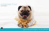 غذاي‭ ‬خانگي‭ ‬براي‭ ‬سگ:‭ ‬دستورپخت‭ ‬غذايي‭ ‬ساده‭ ‬در‭ ‬منزل
