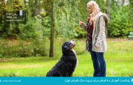 پادکست آموزش ده فرمان برای تربیت سگ (فرمان اول)