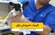 کلینیک دامپزشکی غزال (تهران)