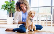 آموزش قدم به قدم مقابله با افسردگی سگ