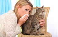 حساسیت و آلرژی به حیوانات خانگی (سگ، گربه، پرندگان و ...) + راهکار