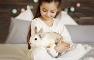 معرفی محبوبترین نژادهای خرگوش خانگی