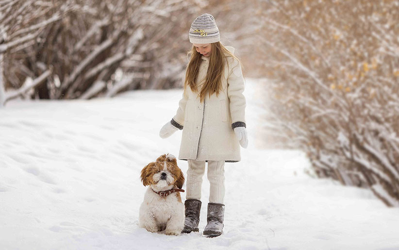 نکات مهم نگهداری حیوانات خانگی در زمستان