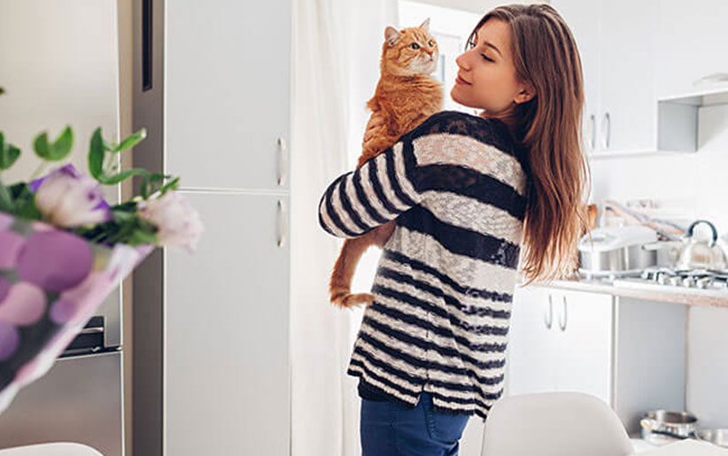 اقدامات لازم برای جلوگیری از ادرار گربه روی وسایل خانه
