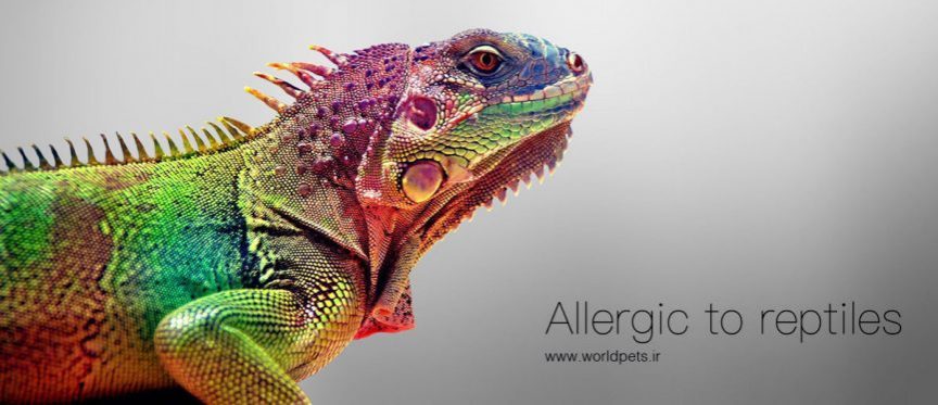 آلرژی‭ ‬به‭ ‬حیوانات‭ ‬غیرمعمول‭ ‬خانگی‭:‬ حساسیت‌های‭ ‬جدید،‭ ‬آلرژن‌های‭ ‬پیشین