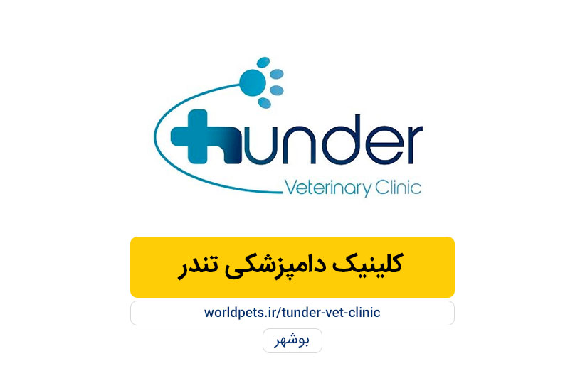 کلینیک دامپزشکی تندر (بوشهر)