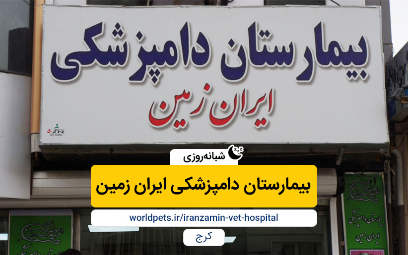 بیمارستان دامپزشکی ایران زمین (شبانه روزی کرج)