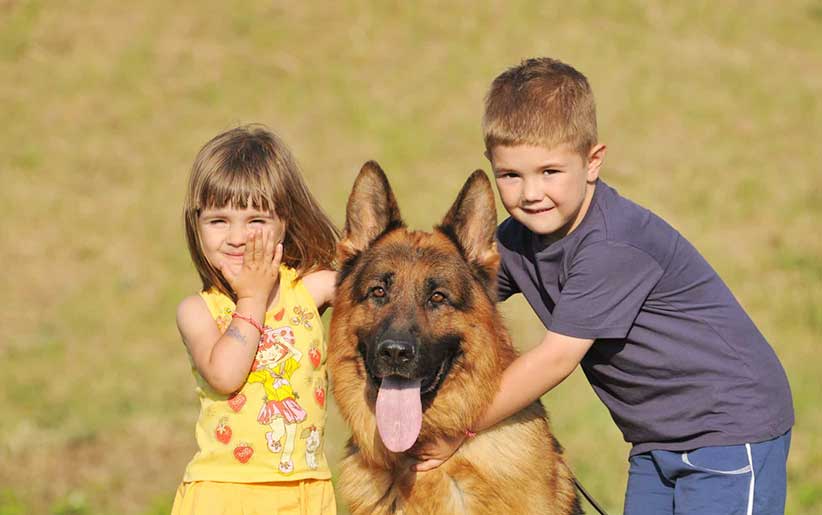 سگ ژرمن شپرد بین دو پسر و دختر بچه