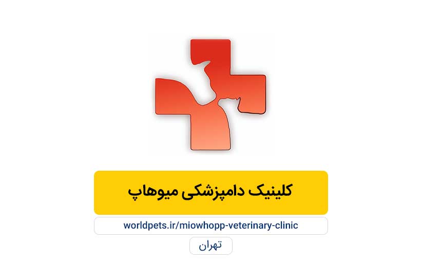کلینیک دامپزشکی میوهاپ (تهران)