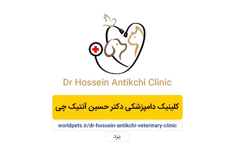 کلینیک دامپزشکی دکتر حسین آنتیک چی (یزد)