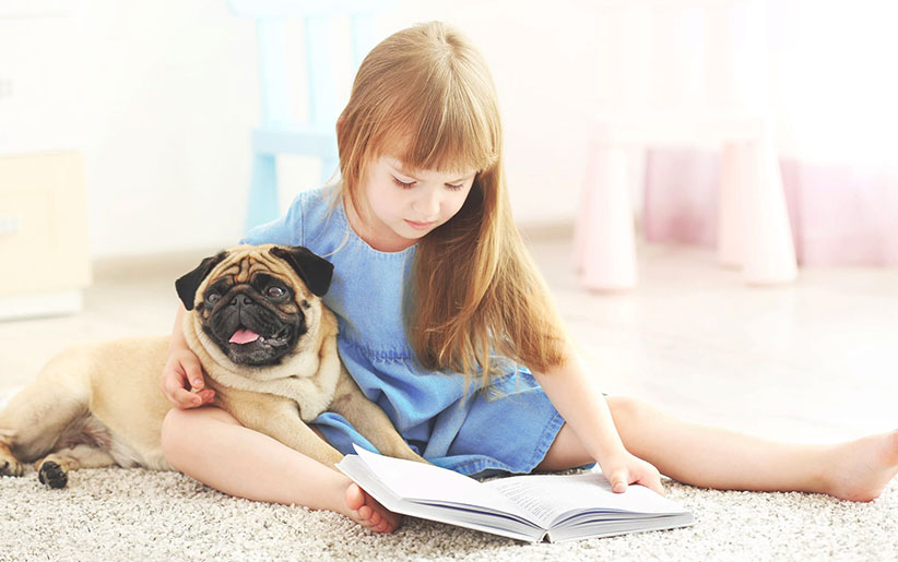 واق واق کردن سگ پاگ بغل دختر بچه در حال خواندن کتاب