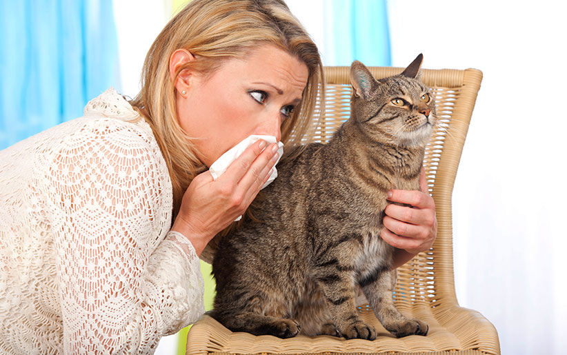 حساسیت و آلرژی به حیوانات خانگی (سگ، گربه، پرندگان و ...) + راهکار